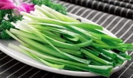 原神最新爆料韭菜,神秘韭菜助力角色成长，探索游戏新玩法